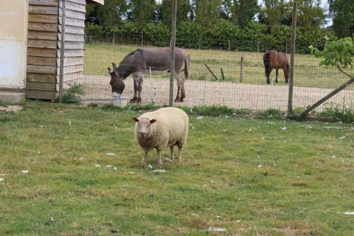 Gite En Campagne Isatis