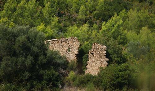 Hostal Simple Home