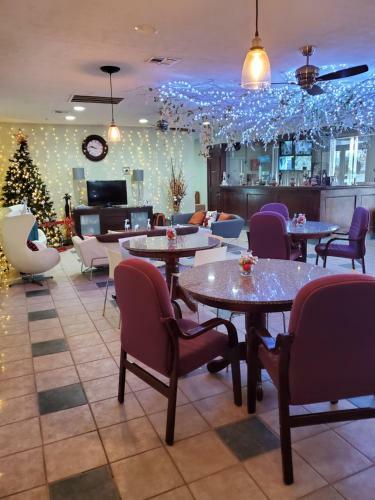 Hotel Houston Inn And Suites