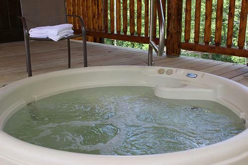 Water Lily Cabin By Amish Country Lodging