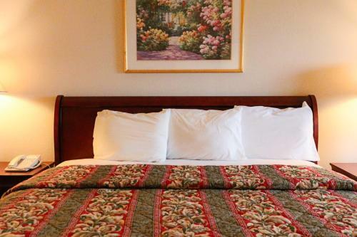 Motel Great Value Inn Houston/galleria