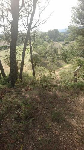 Apartamento Appart Ind�pendant Dans Propri�t� 4000 M2 Luberon