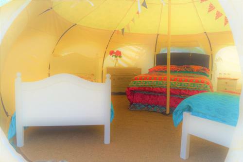 Agroturismo Loire Valley Llama Farm Stay