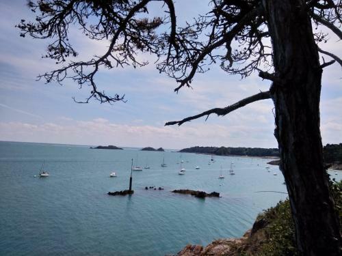 Bed & Breakfast Chambre D'hotes C�t� Rance