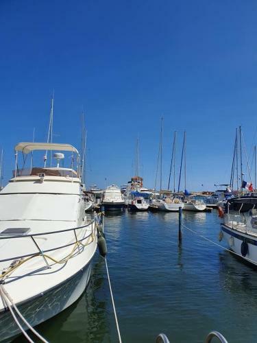 Apartamento Coquet Appartement Proche Plage 4cabes64