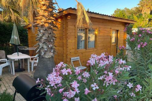 Chalet Belle Vue, Jacuzzi, Piscine, Terrasse, Climatis�