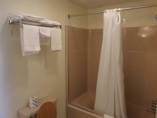 Motel Red Carpet Inn And Suites Palmyra