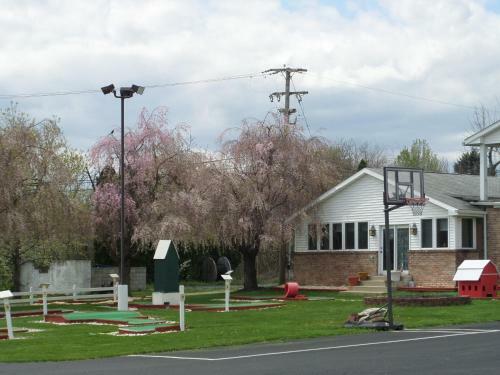 Motel Red Carpet Inn And Suites Palmyra