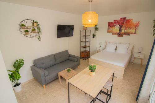 L'estival Room Logement En Colocation