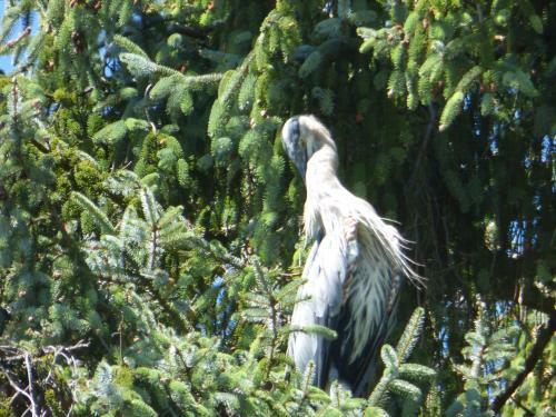 Bed & Breakfast Sheltered Nook On Tillamook Bay