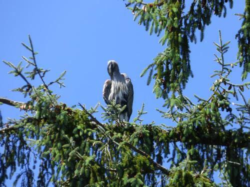 Bed & Breakfast Sheltered Nook On Tillamook Bay