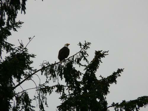 Bed & Breakfast Sheltered Nook On Tillamook Bay
