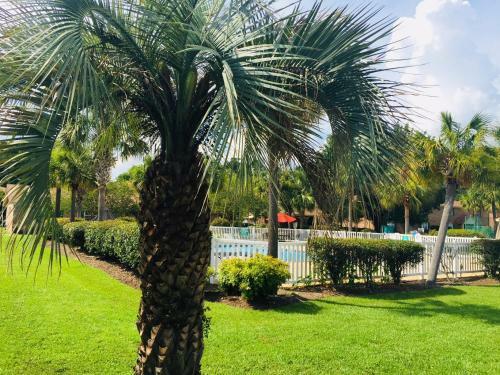 Apartamento Southern Sophistication At Honey Ridge