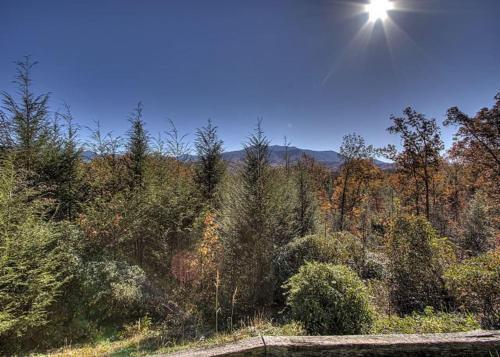 Far Horizons #416 By Aunt Bug's Cabin Rentals