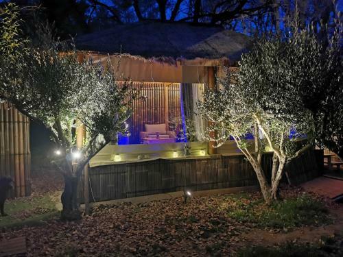Maison+ Piscine(12x4) +paillote Avec Jacuzzi