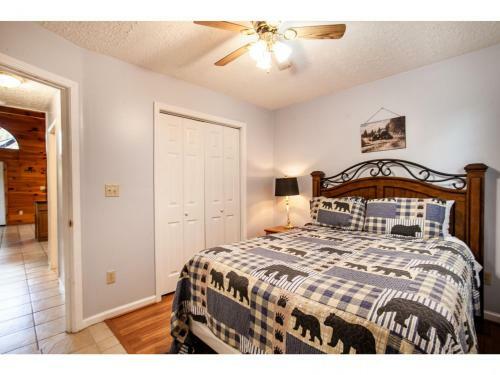 Papa Bear - Private With Hot Tub, Pool Table, And View
