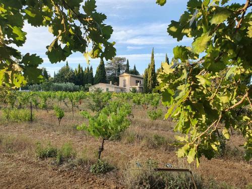 Domaine De Casteuse,lourmarin Cottage