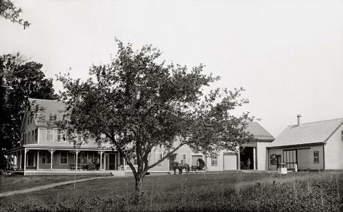 The Bridges Inn At Whitcomb House B&B