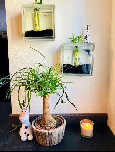 Bed & Breakfast Chambres D'h�tes � Th�mes � 2,4km Du Parc