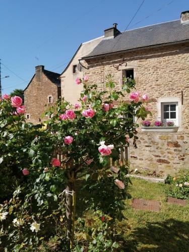 La Maison Des Rosiers