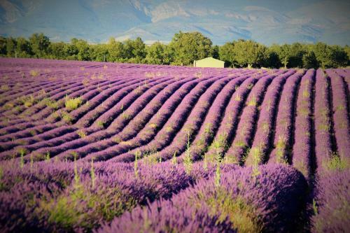 Bed & Breakfast Chambres D'h�tes Elisa & Etienne