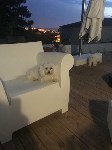 Bed & Breakfast Chambres D'h�tes Les Oliviers - Marignane