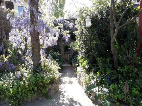 Apartamentos Jardin Et Bambous, Studio Cosy, Class�
