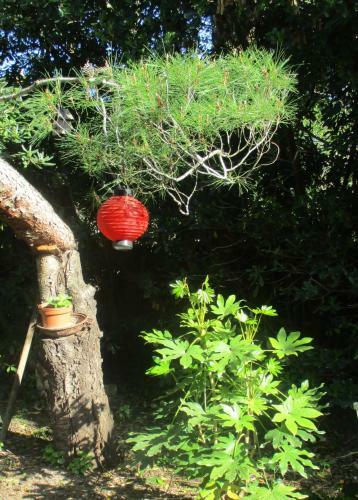 Apartamentos Jardin Et Bambous, Studio Cosy, Class�