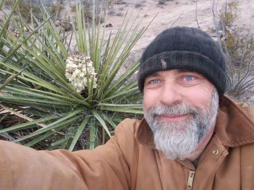 Camping At Desert Gardens Oasis In Lobo, Tx