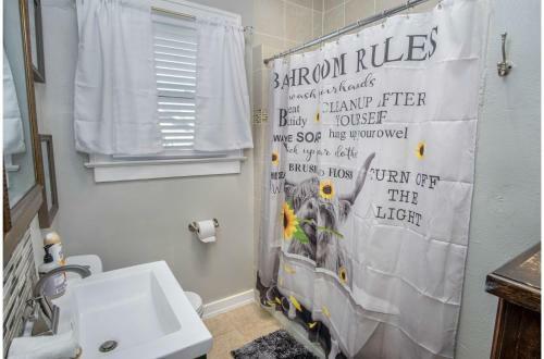 Stunning 3 Br Home Near Dt Alamodome - Riverwalk