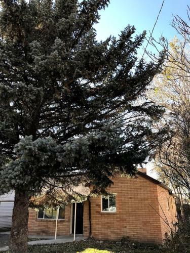 Apartamento Blue Spruce On Main - Convenient Location - 4bd Remodeled