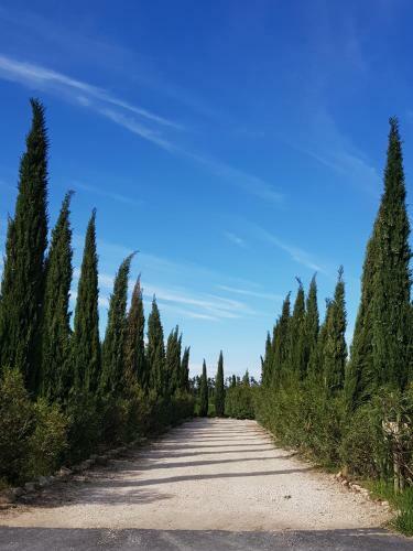 Apartamento Le Mas Saint Jean