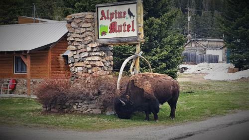 Alpine Motel Of Cooke City