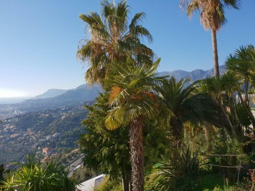 Apartamento Caterina