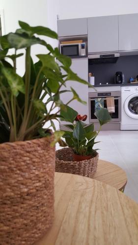 Apartamentos Superbe 2 Pi�ces Neuf � 100m de La Plage