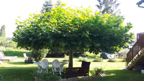 Apartamento Gite "le Platane" 45 M2 - Climatis�