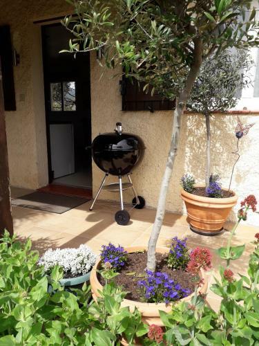 Bed & Breakfast La Pantoufle Verte