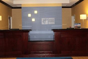 Hotel Holiday Inn Express Niles