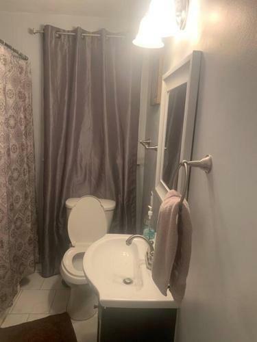 Private House + Yard Central Location To All Rva
