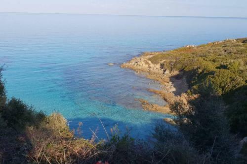 Apartamento Monticello, �le-rousse - R�sidence Fiore Di Mare