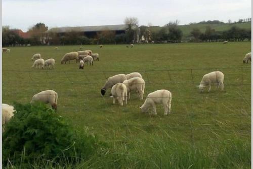 Gite Au Pied Des Dunes, 200m De La Plage