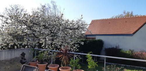 Bed & Breakfast Chambre D'h�te - La Ruche Des Bleuets