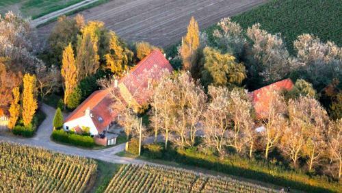 Bed & Breakfast Le Mont Balenberg