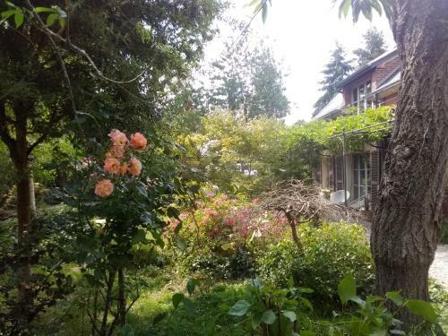 Bed & Breakfast La Maison Des Champs , Chambres D'hotes , Receptions