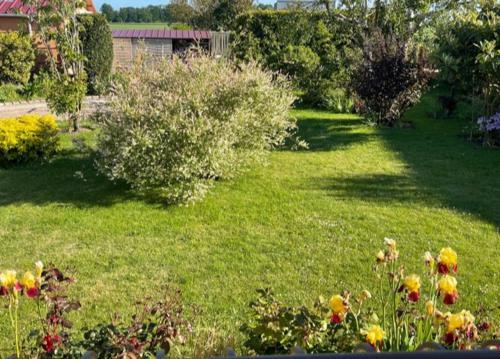 Bed & Breakfast Le Chasse Mar�e