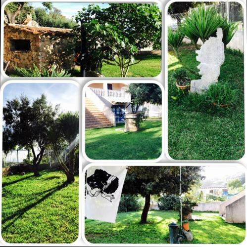 Apartamento Appartement Corse Olmeto