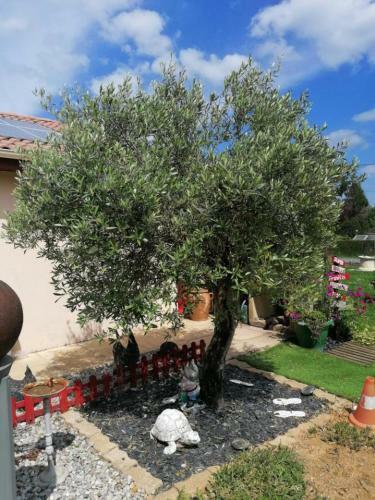 Bed & Breakfast La Roulotte Des Trois Arbres