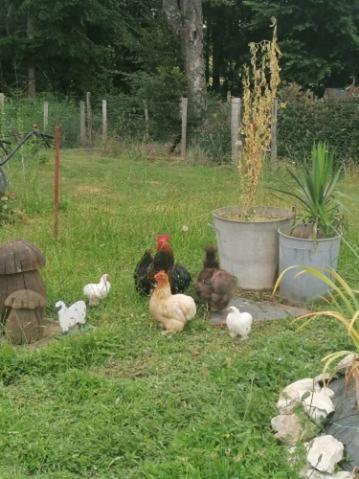 Bed & Breakfast La Roulotte Des Trois Arbres