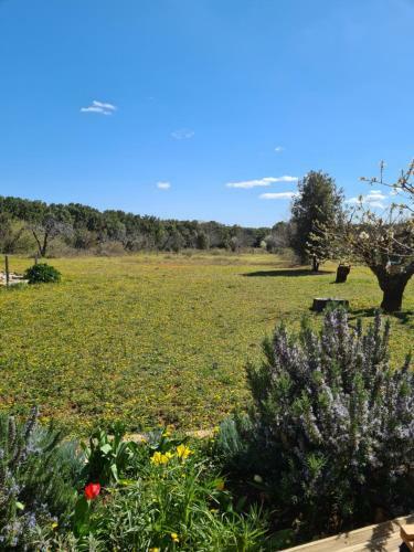 Hostal Le Petit Ch�ne