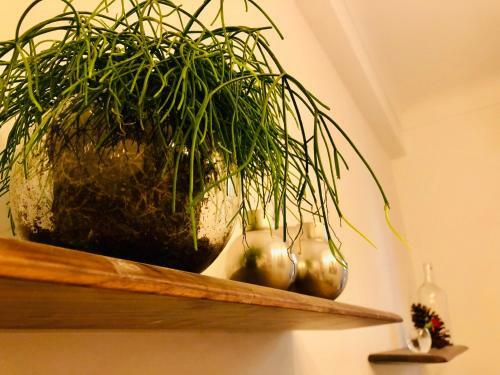 Apartamento Un Coin de Paradis Dans Le Quartier de La Lib�ration